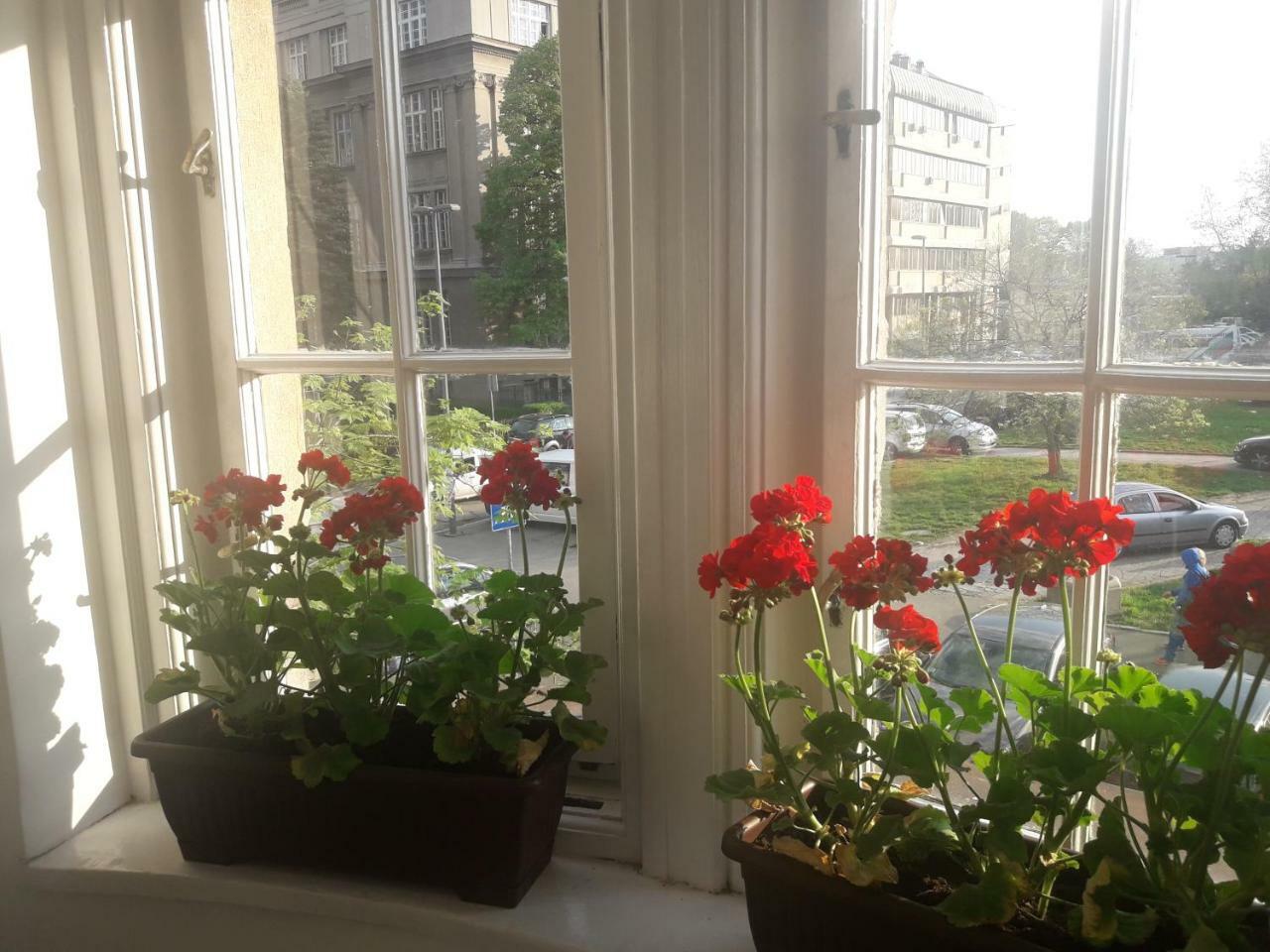 Apartment Hana Lux Belgrade Extérieur photo
